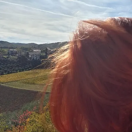 La Terrazza Sul Vulcano